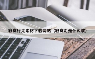 灌南寂寞行走素材下载网站（寂寞走是什么歌）
